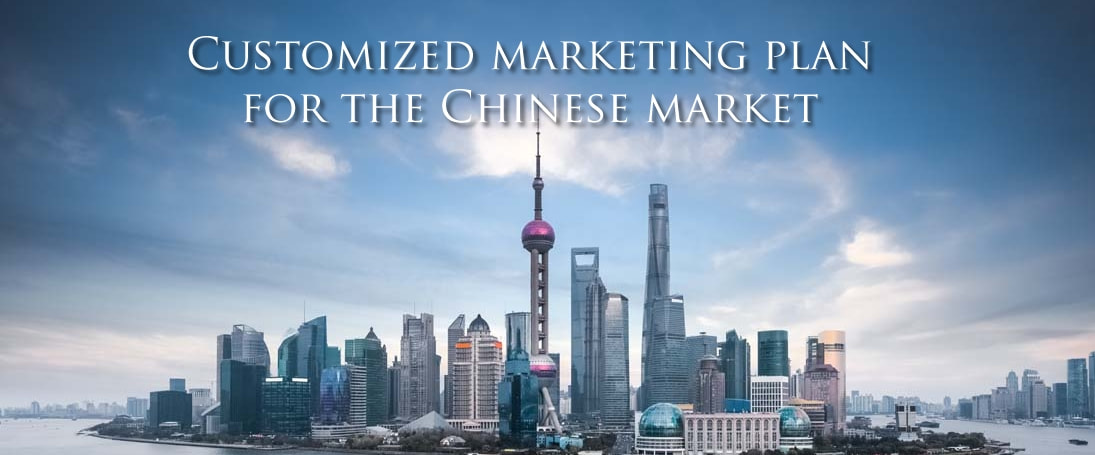 Seeniun media customises your marketing plan towards China, with our dedicated team and unique insights.